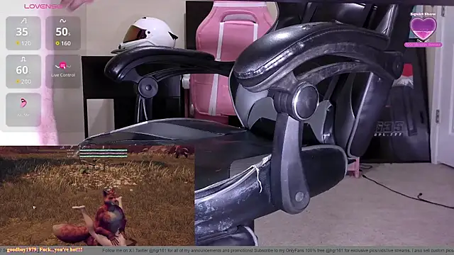 Show webcam de hgr161