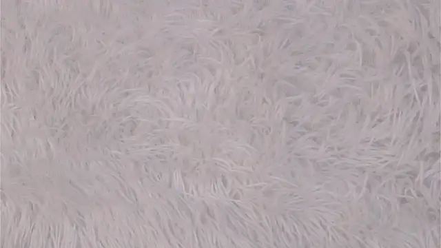 Вебкам-шоу NakeshaPogar