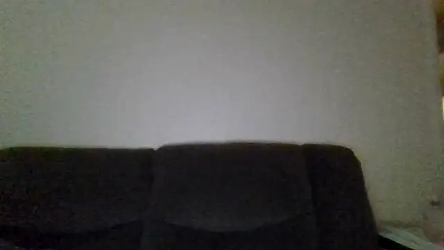 Show Webcam de Tallhungandcloudy