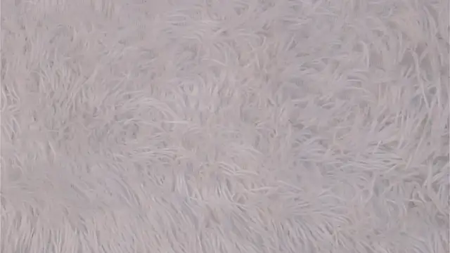 Sembang XXX Secara Langsung NakeshaPogar