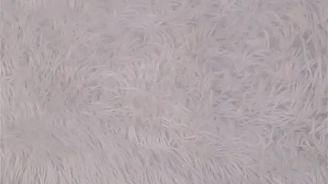 NakeshaPogar Chat XXX live