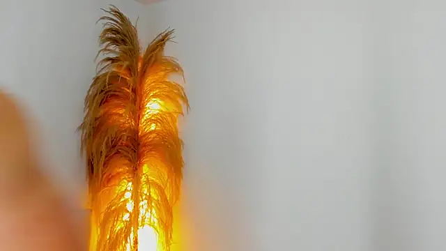 Kieran_kian 라이브 XXX 채팅