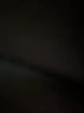 VendiMur webcam show