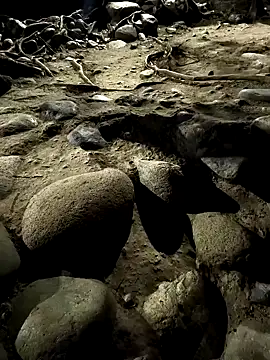 Datoka_adrenaline Adlı Modelin Canlı XXX Sohbeti