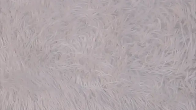 NakeshaPogar élő XXX-chatje