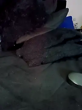 SharonSalazar Live XXX Chat