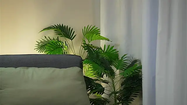 akumadadrive Chat XXX in diretta