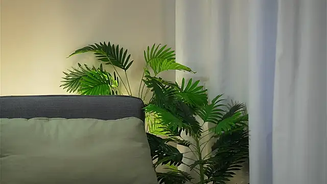 akumadadrive 라이브 XXX 채팅