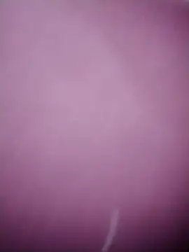 linda_bae00 网络视讯表演