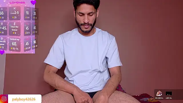 Palyboy426 网络视讯表演