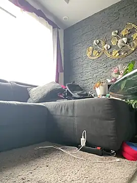 AnnikaRosen Webbikameraesitys