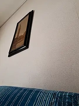 Show de webcam de Sony28v