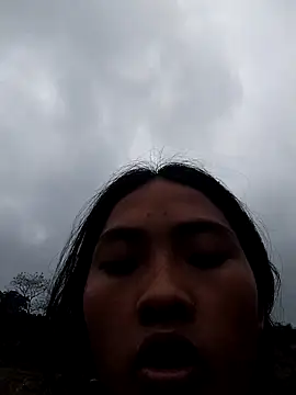 Hoa-tuylip Show Webcam