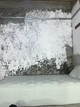 Chat XXX Live ikaro21