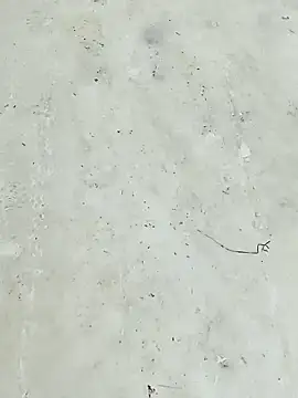 _uncle_Mitya-43_ 现场XXX聊天