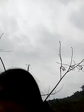 Hoa-tuylip 在線直播表演