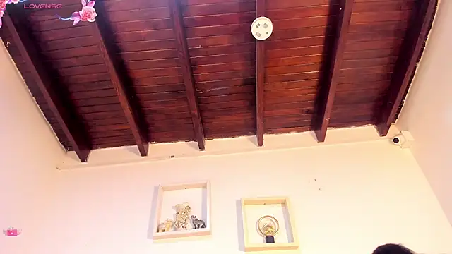 vahiolet_fuentes 라이브 XXX 채팅