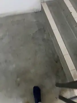 Wvppppのウェブカメラショー