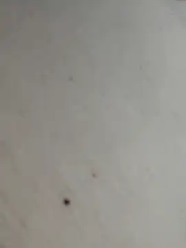 Онлайн чат XXX Solitario_Apasionado