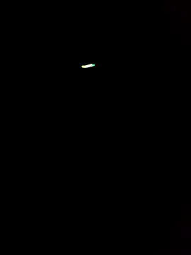 Онлайн чат XXX Morbosnif