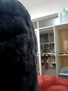 yjw6688: вебкам-шоу