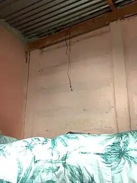 taitaimont Show Webcam