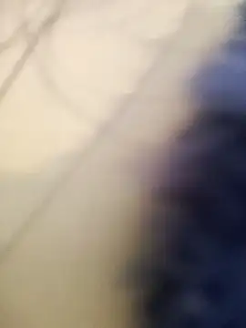 Franchescatop webcam show