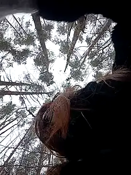 Chat XXX Live lleisa