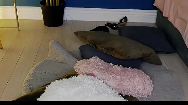 عرض كام KimmDaviss