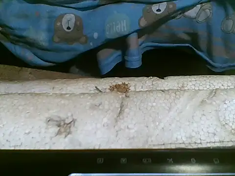 joseee004 webcam show