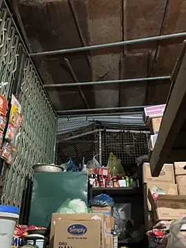 YANINA120 Webcam Show