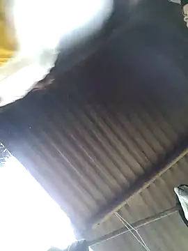 nide_xiaogou_x 网络视讯表演