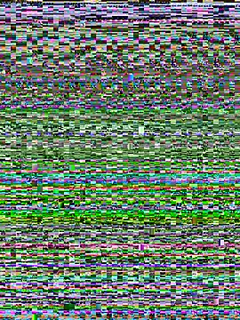 tonyxx000 现场XXX聊天