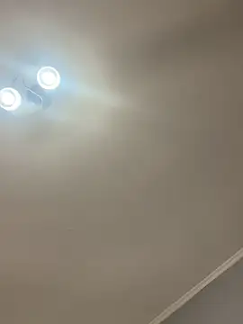 bunnythetailor 라이브 XXX 채팅