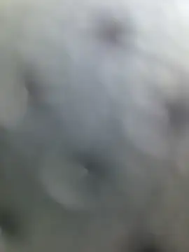 nataliecdlive: онлайн-секс-чат