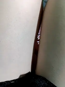 lylinhjimのウェブカメラショー