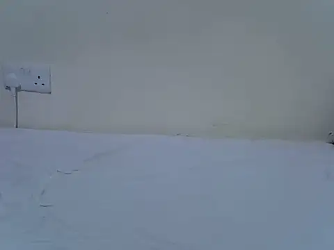 Twerl Chat XXX in diretta