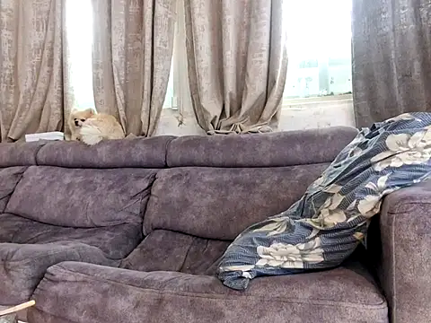 Alexis21821: απευθείας συνομιλία ΧΧΧ