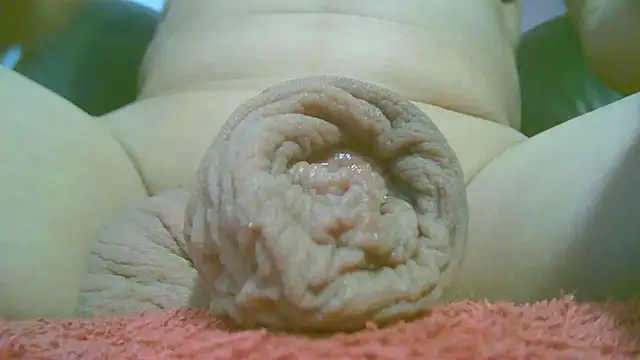 annitsx Pertunjukan Webcam