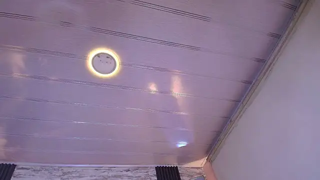 sakuramoss Live XXX Chat