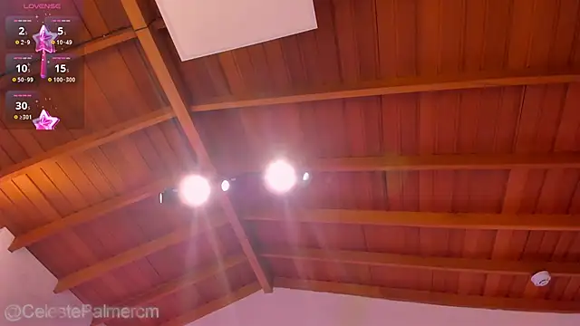 CelestePalmer_ 라이브 XXX 채팅