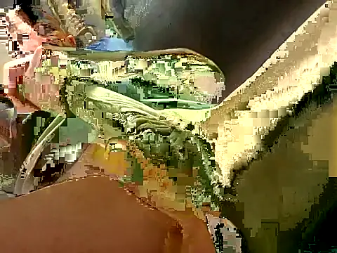 Show Webcam de caners66