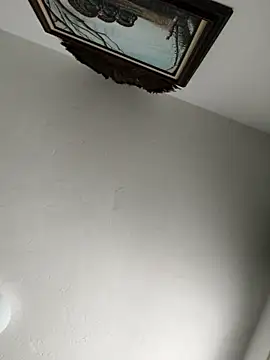 CDforUn Webbikameraesitys