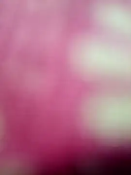 Nandani-758 Live XXX Chat