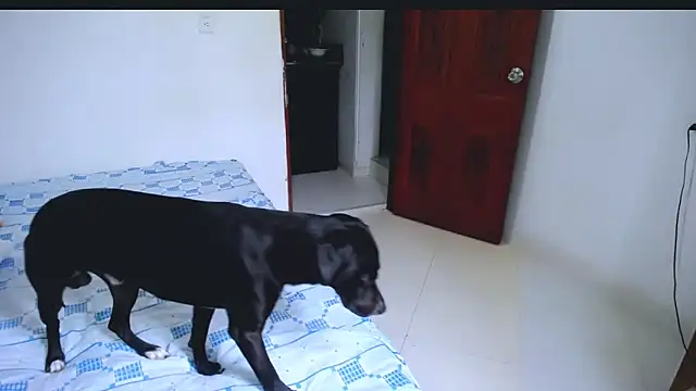 Chat XXX ao vivo de Hanny_9