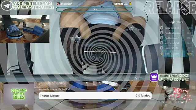 Show webcam de alphacashmaster8