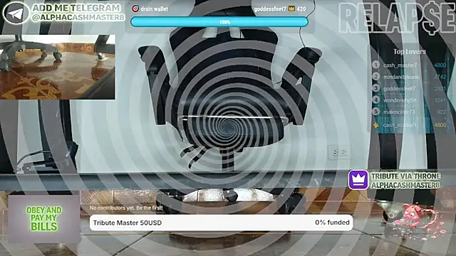 alphacashmaster8 Webcamshow