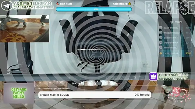 alphacashmaster8 Webcamshow