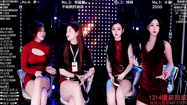 ZZ00033S Show Webcam