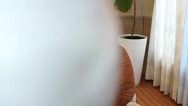 Chat +18 de Ethan_occonor ao vivo